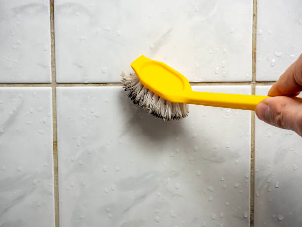 Office Mold Removal Services in Harbor Beach, MI