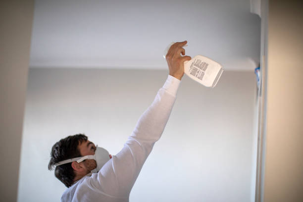 Best Best Mold Removal Companies  in Harbor Beach, MI