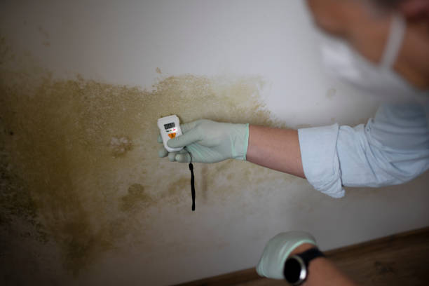 Water Damage Restoration in Harbor Beach, MI
