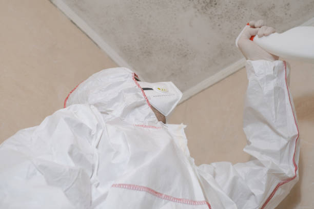 Best Water Damage Restoration  in Harbor Beach, MI